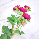 62cm Violet Ranunculus Spray