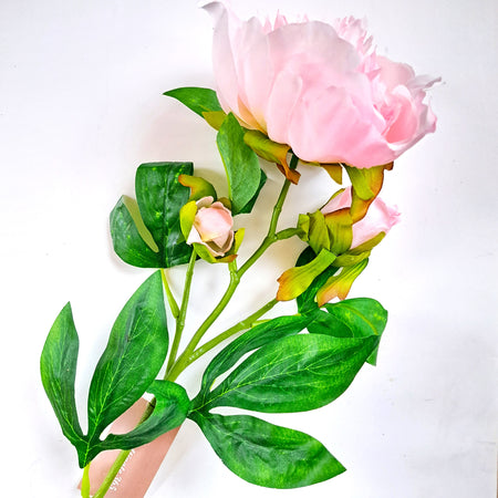 SUGAR SISTERS -  Rose 1 Stem - Ivory