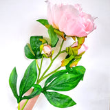66cm Peony Spray Pale Pink