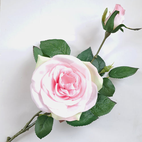 61cm Rose & Bud Pale Pink