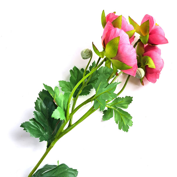 62cm Ranunculus Dark Pink Spray