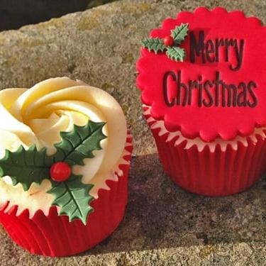 Three Leaf Holly Cutter Set 2 PME