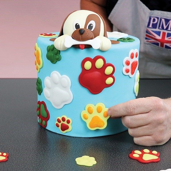 Paw Plunger Cutter Set 3 PME