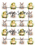 Baby Chick & Bunny Easter Edible Toppers - (20 Toppers)