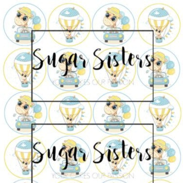 SUGAR SISTERS - Silver & White  Cake Ball Topper