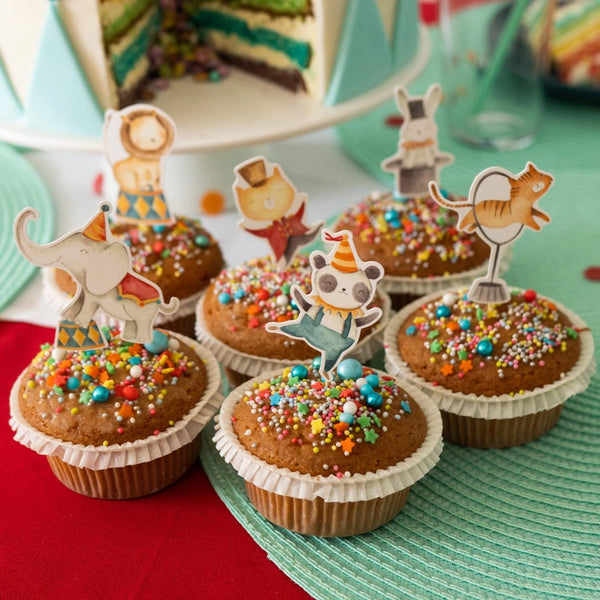 Circus Cake and Cupcake Kit Pk 19