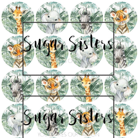 SUGAR SISTERS - Zebra Print Cake Ball Set Pk 5