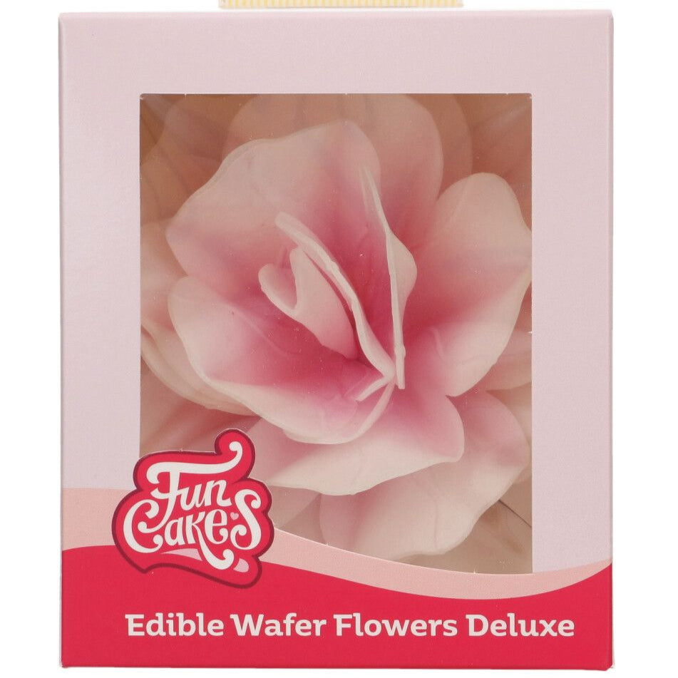 Wafer Flowers Deluxe Rose Pastella Pink Ombre  Pk 1