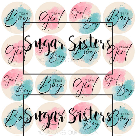 SUGAR SISTERS - Pale Pink  Glitter Cake Balls Pk 20