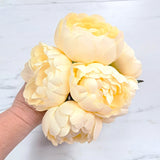 27cm Cream Tied Bundle Peony