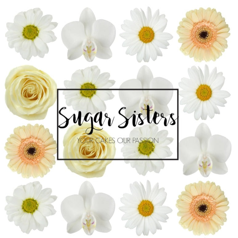 White Flowers Edible Toppers - (20 Toppers)