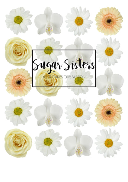 White Flowers Edible Toppers - (20 Toppers)