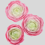 FMM Easiest Ranunculus Cutter Set 2