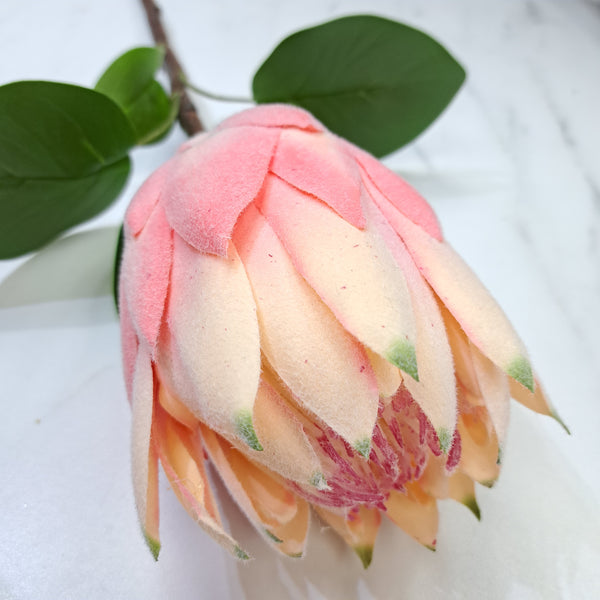 67cm Protea Pink