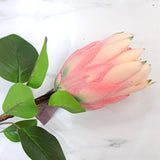 67cm Protea Pink