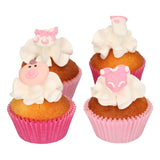 Baby Girl Sugar Decorations 12 Pcs  FunCakes