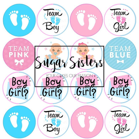 Gender Reveal Sugar Decorations Pk 12