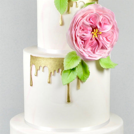 Football/Soccer Pattern Cutters