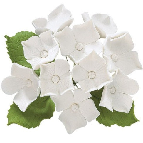 Gum Paste Hydrangea