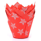 Red Silver  Poinsettia Tulip Cases Pk 36 HOM
