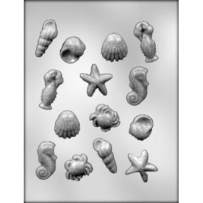 Seashell Chocolate Mould