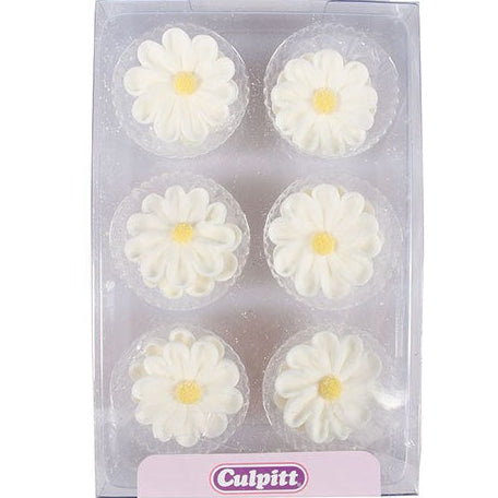 Sugar Daisy Pk 12