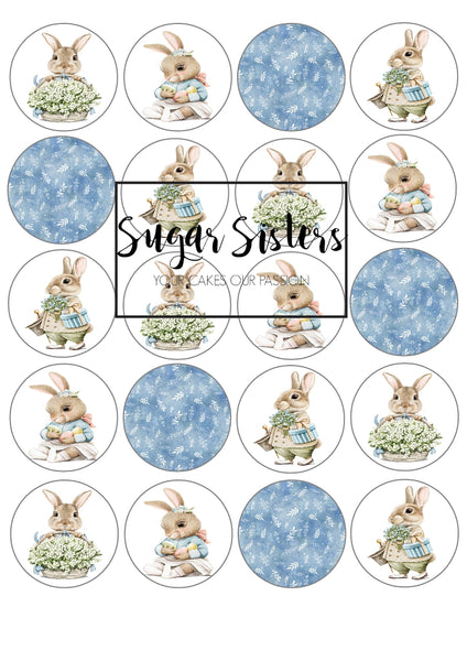 Mr Rabbit  Edible Toppers - (20 Toppers)