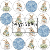 Mr Rabbit  Edible Toppers - (20 Toppers)