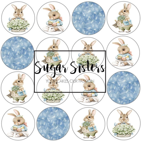 Mr Rabbit  Edible Toppers - (20 Toppers)
