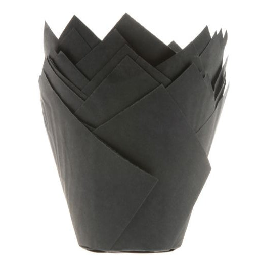 Black Tulip Cases Pk 36 HOM