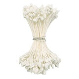 White Medium Pointed Dull Stamens