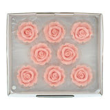 Sugar Rose Pale Pink 63 mm ( 8pcs)