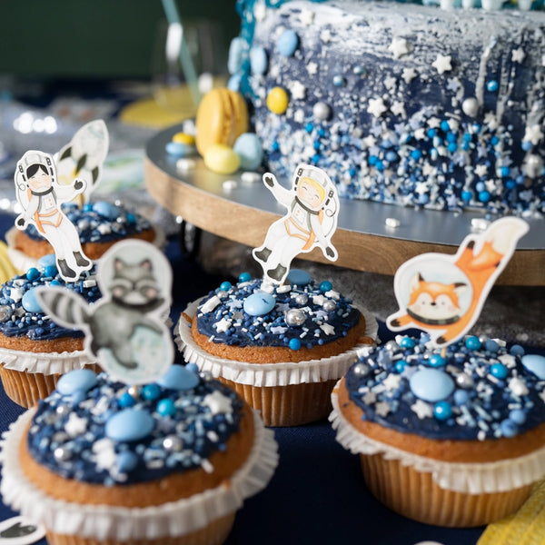 Astronaut Cake and Cupcake Kit Pk 19