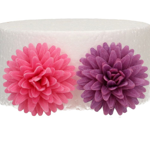 Wafer Flowers Deluxe Pom Pom/Daisy Pk 12