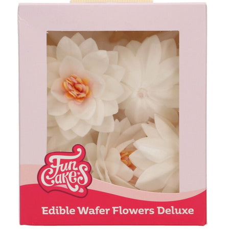 Frosty Tulip Cases Pk 24