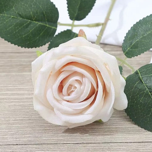 SUGAR SISTERS -  Rose 1 Stem - Ivory