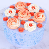 Jem Nozzle Set Medium Cupcakes Collection Pk 3