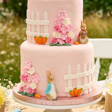 Peter Rabbit™ Resin Cake Topper Luxury