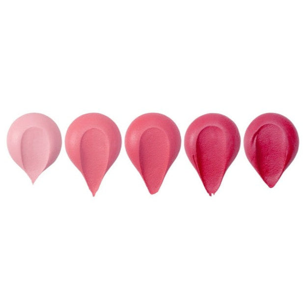 Progel Gel Paste Raspberry 25g RD