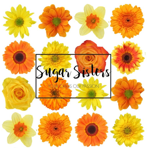 Yellow/Orange Flowers Edible Toppers - (20 Toppers)