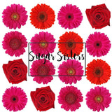 Hot Pink/Red Flowers Edible Toppers - (20 Toppers)