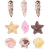 Sea Shells Mould WILTON