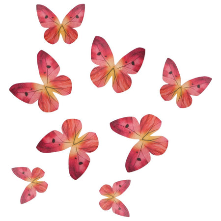 Wafer Butterfly Asstd 12Pcs