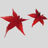 FMM Japanese Maple Leaf Cutter Set 2