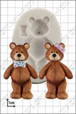 Teddy  FPC C029