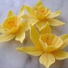 FMM Daffodil  Cutter Set 2