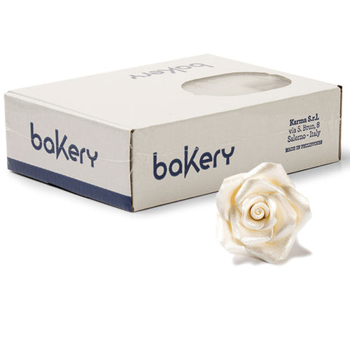 Medium Sugar Rose Ivory  Bx 30