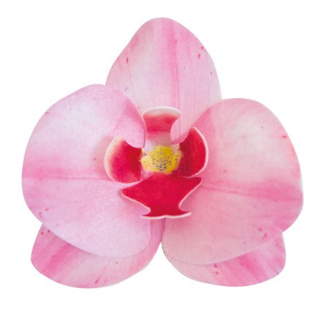 Wafer Pink Orchid Bx 10