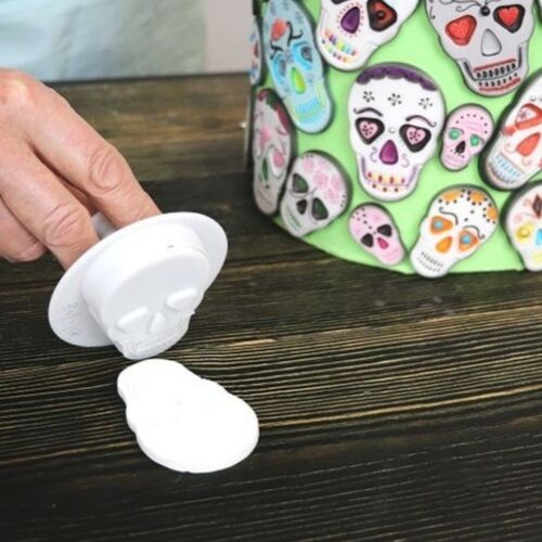Skull Plunger Set 3 PME