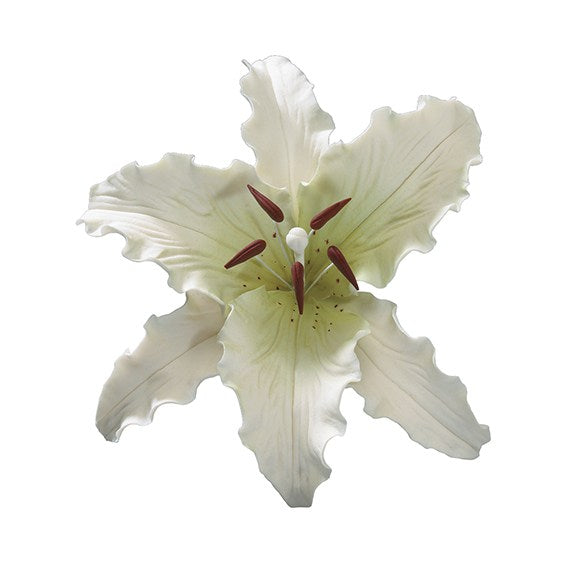 Gumpaste Stargazer Lily White 127mm